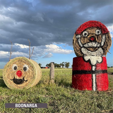 Boonarga