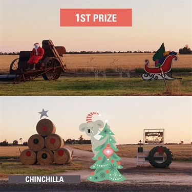 1st Prize: Vanessa Stanke, Chinchilla