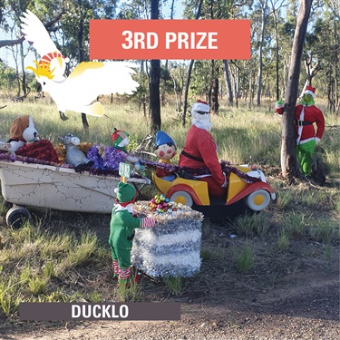 3rd Prize: Keryn Brown, Ducklo