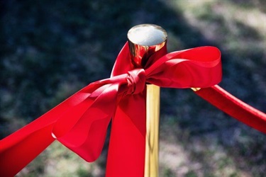 Wandoan Soldier Settler Avenue of Honour