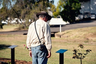 Wandoan Soldier Settler Avenue of Honour