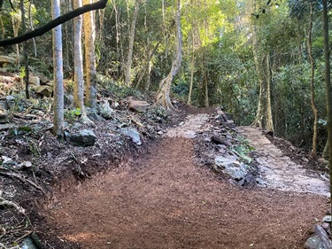 Section of Trail - April 2023