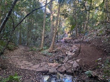 Section of Trail - April 2023