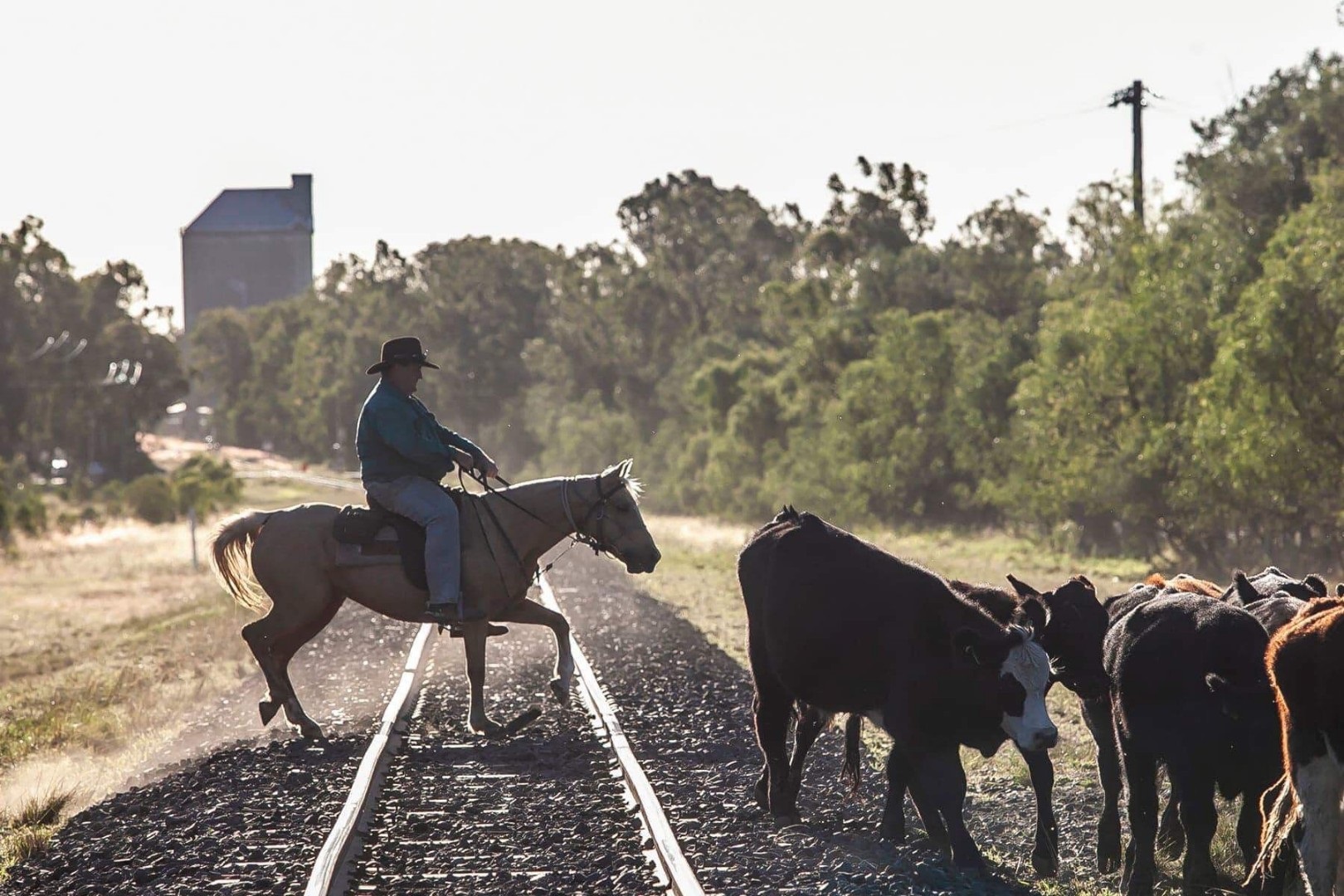Drover railway.jpeg