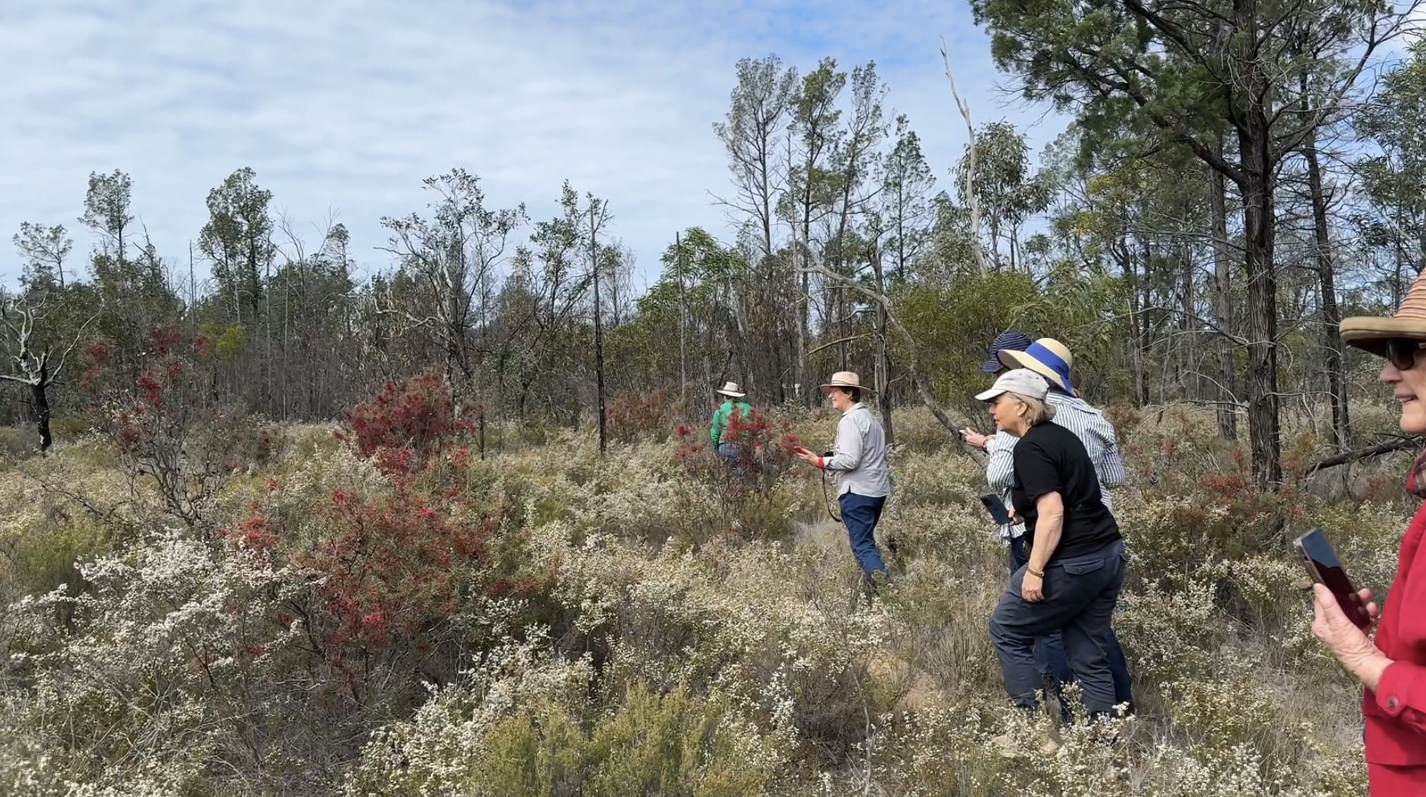 Gurulmundi tour with Boobook_group with bus and flowers landscape_photo Sue Davis (1).jpeg