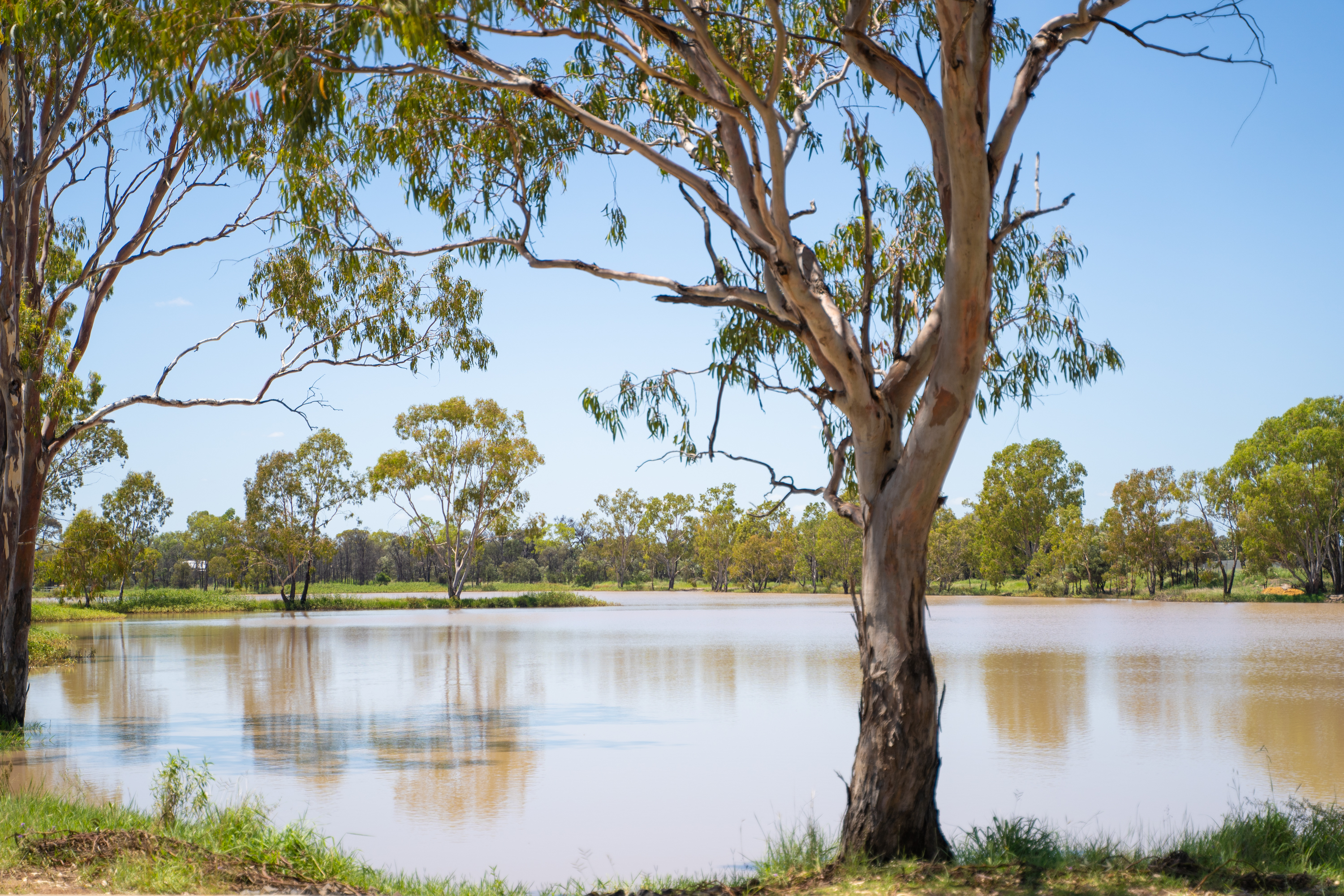 Tara-Lagoon-Parklands-Redevelopment-Project-Completed-2021-21.jpg
