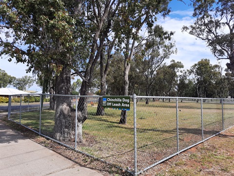 high-school-park-chinchilla-dog-of-leash-area.jpg