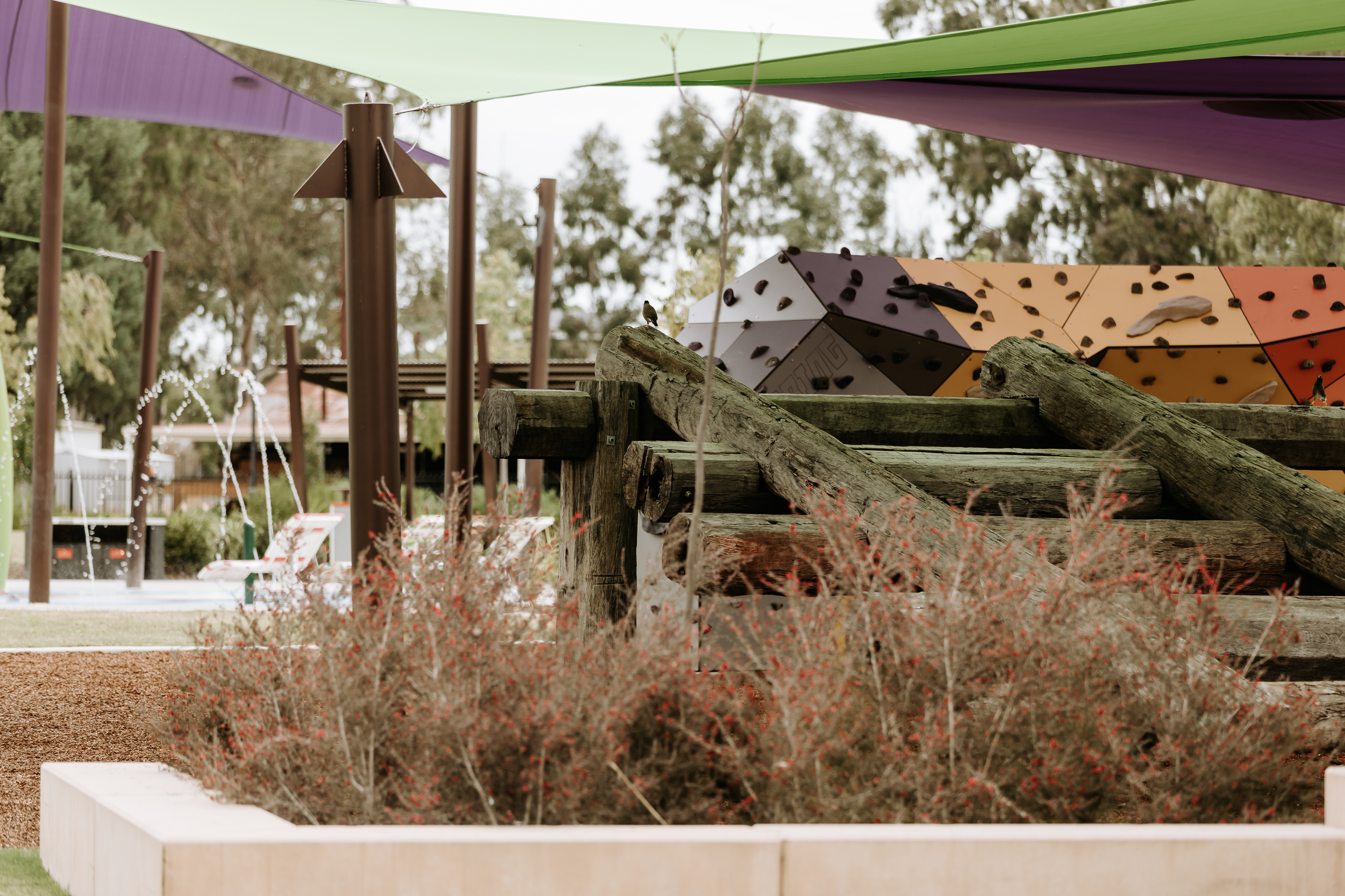 Chinchilla-Botanic-Parklands.jpg