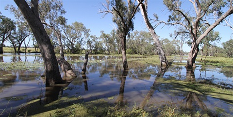 Caliguel-Lagoon.jpg