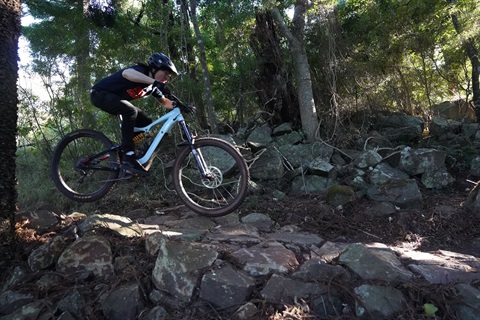 BM Mountain Bike Trails 