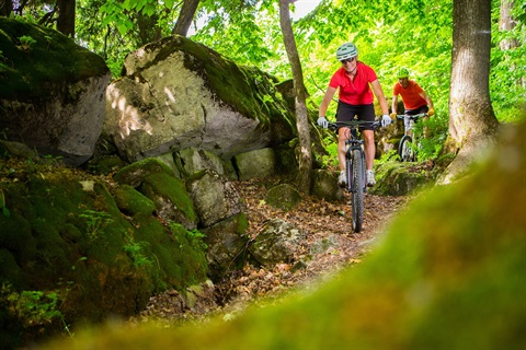 Couple riding mountain bikes.jpg