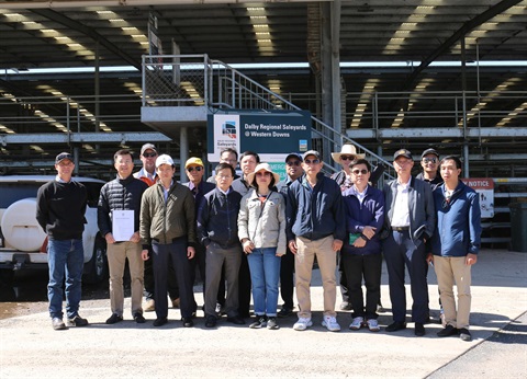 Vietnamese delegation at Dalby Regional Saleyards.jpg