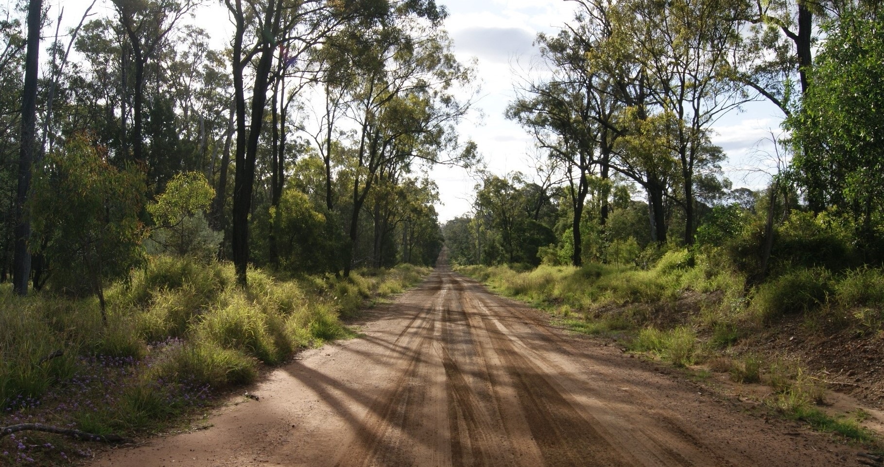 landscape dirt roada.jpg