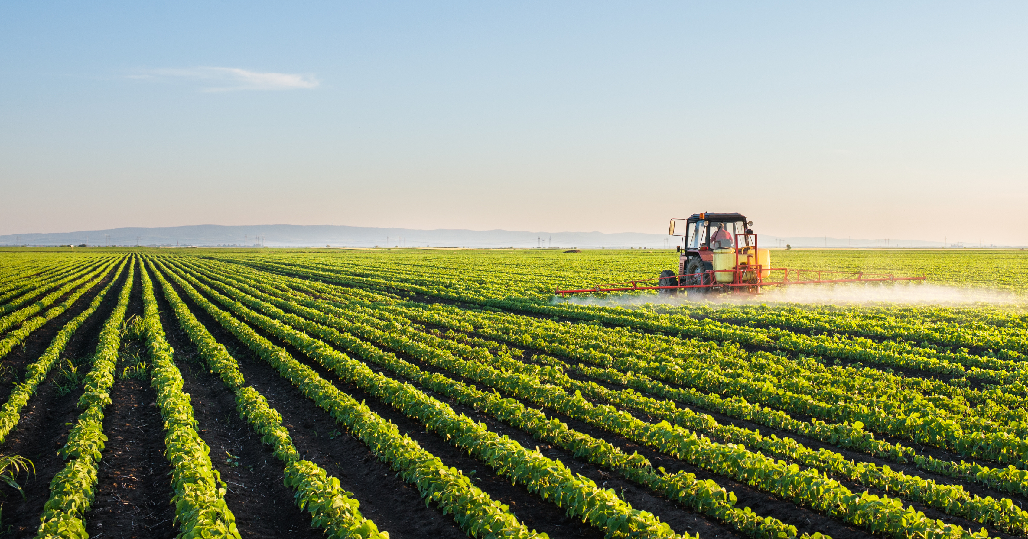 crops-farming-agriculture.jpeg