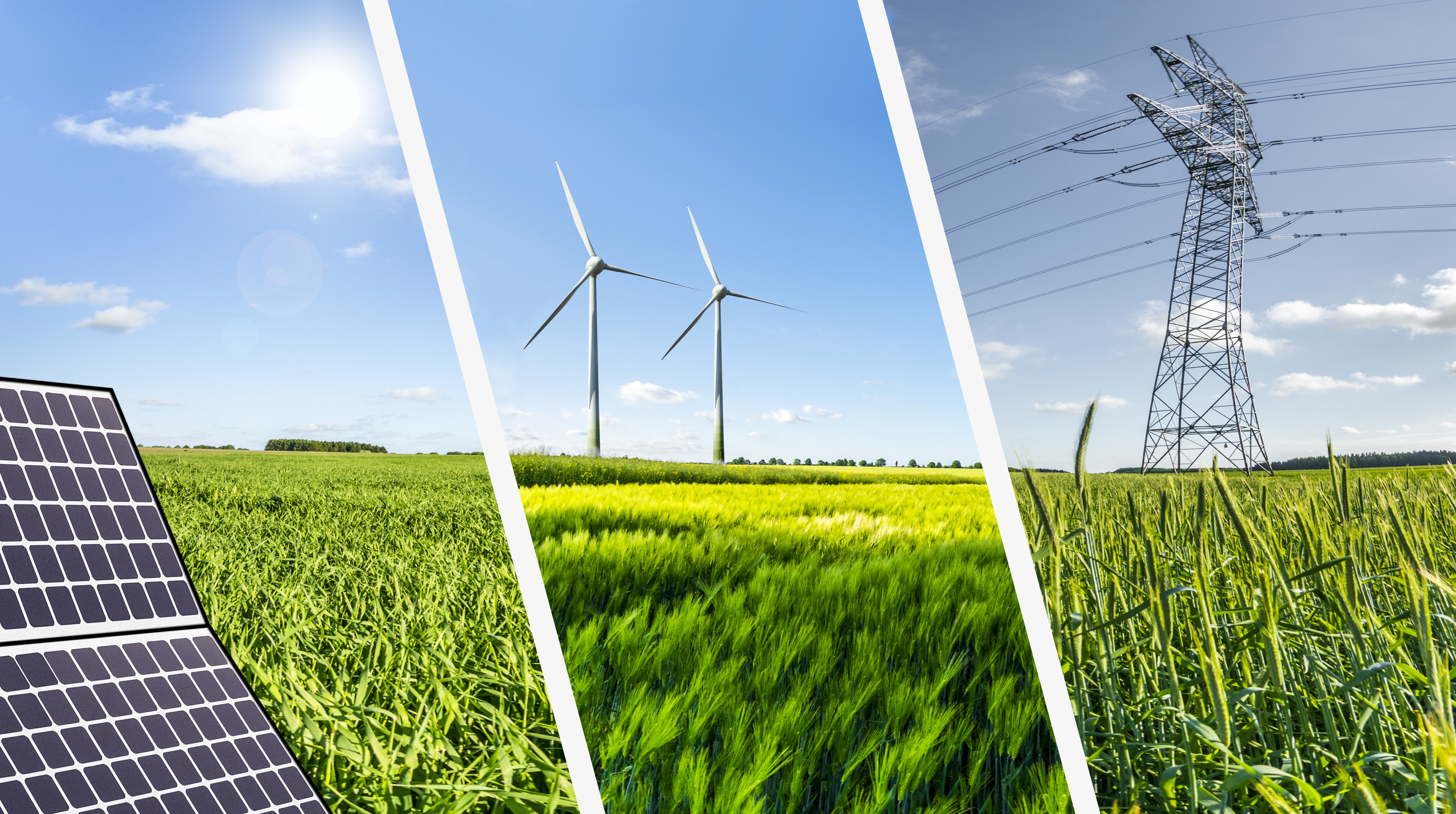 renewable-energy.jpeg