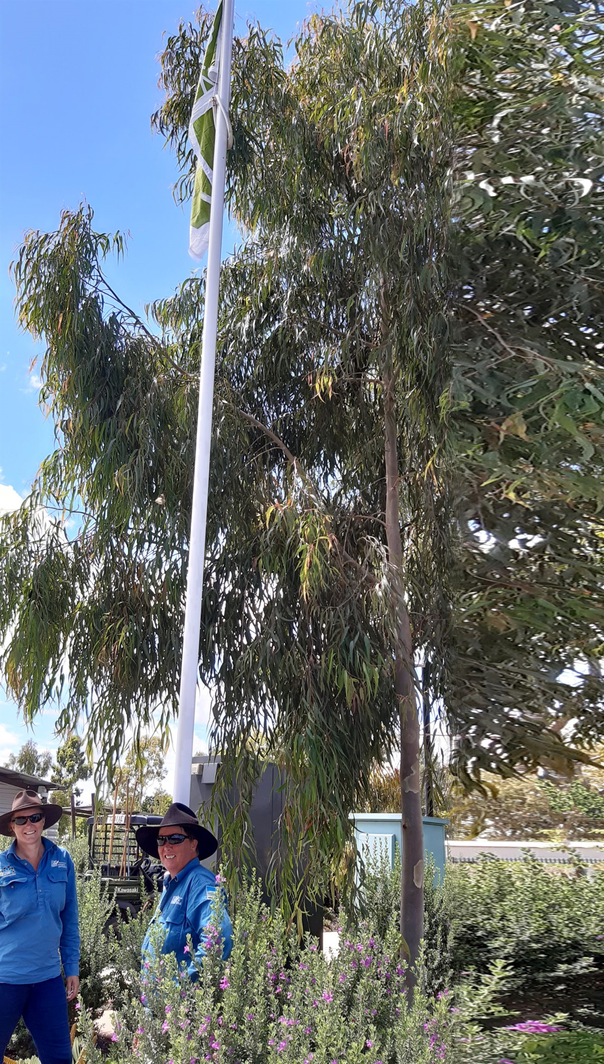 Chinchilla Botanic Parkland takes out international accolade Western