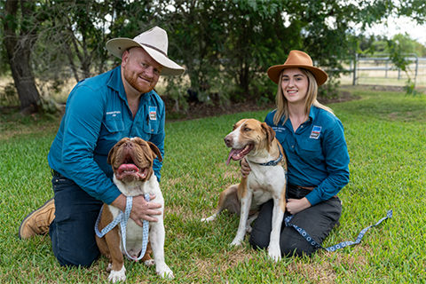 Dogs with WDRC Rangers.png