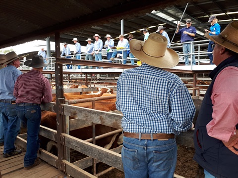 Saleyards