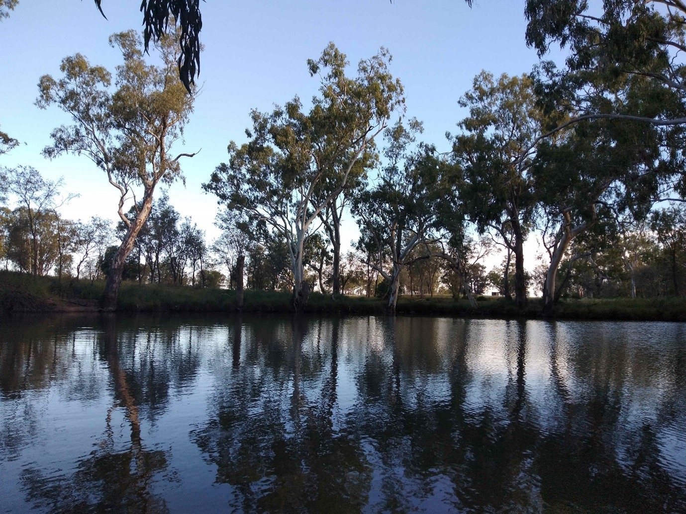 Brigalow Creek Campground.jpg