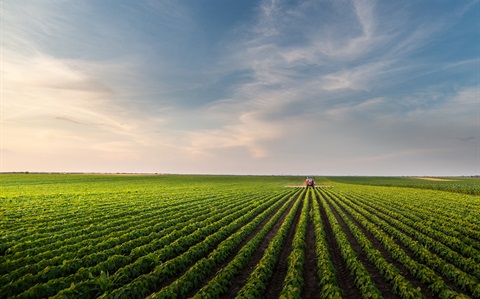shutterstock_1561810501.jpg