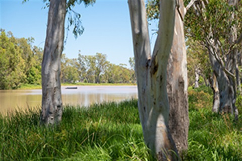 Tara Lagoon Parklands