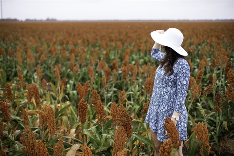 Brigalow - Woman in crops