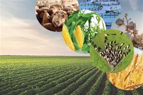 eNews tile - Ag Jobs Fair.jpg