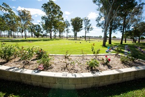 Rose garden.jpg