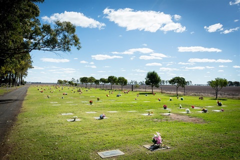Cemetery landscape